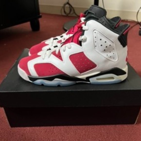 Air Jordan 6 Retro Carmines - Picture 1 of 6